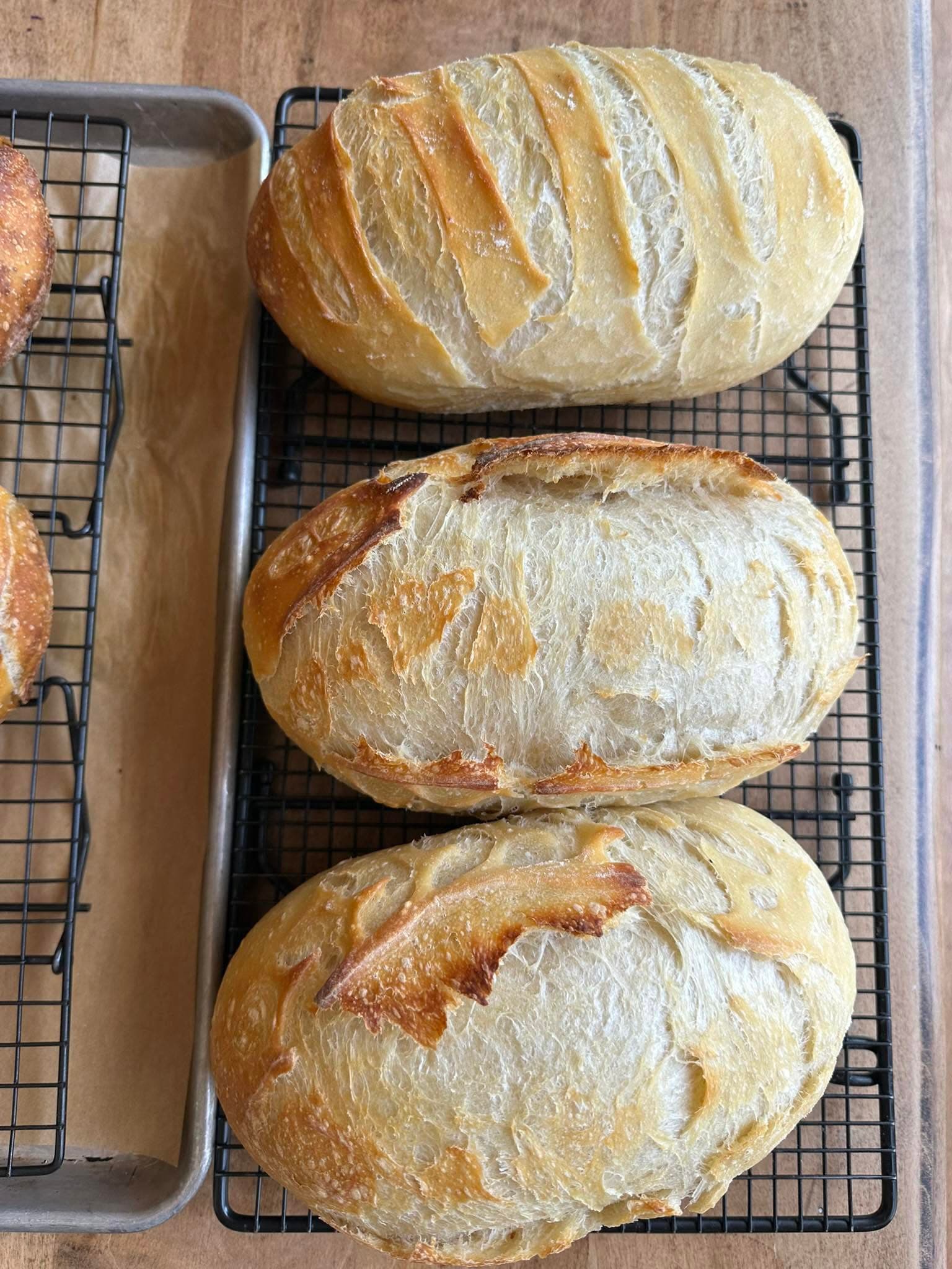 Freshly baked sourdough loaves